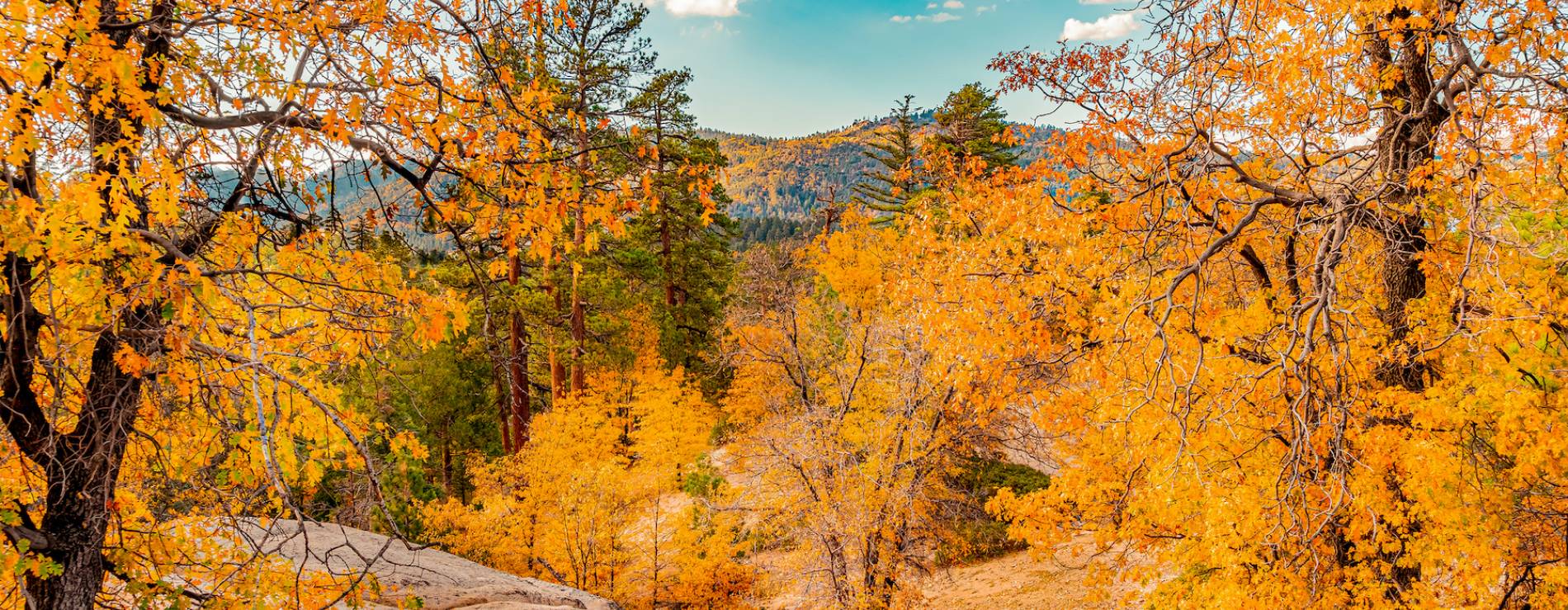 Snow Summit & Big Bear Resort Rentals Snow Summit Escape